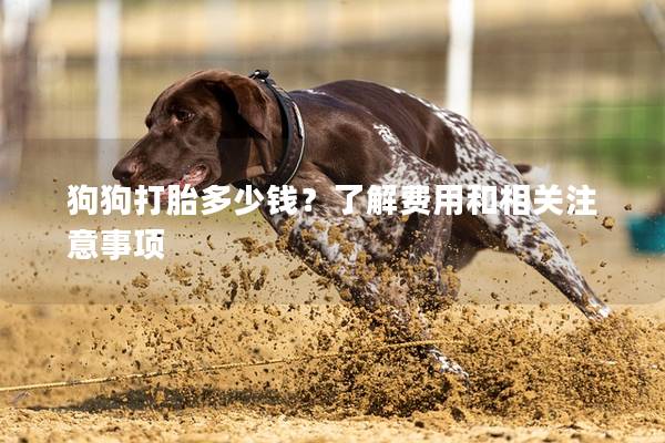 狗狗打胎多少钱？了解费用和相关注意事项