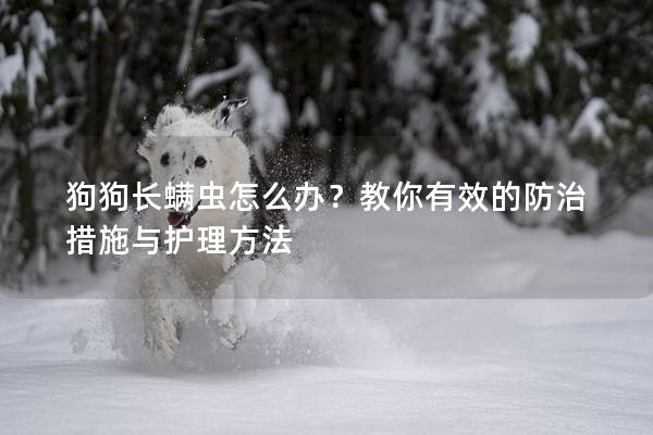 狗狗长螨虫怎么办？教你有效的防治措施与护理方法