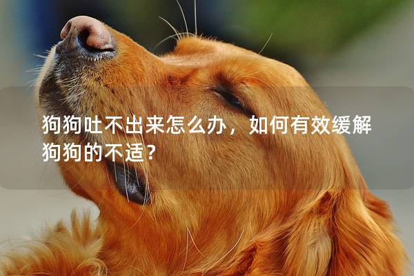 狗狗吐不出来怎么办，如何有效缓解狗狗的不适？