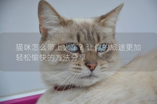 猫咪怎么带上火车？让你的旅途更加轻松愉快的方法分享