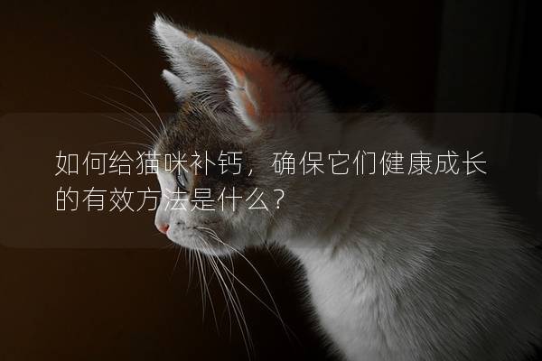 如何给猫咪补钙，确保它们健康成长的有效方法是什么？