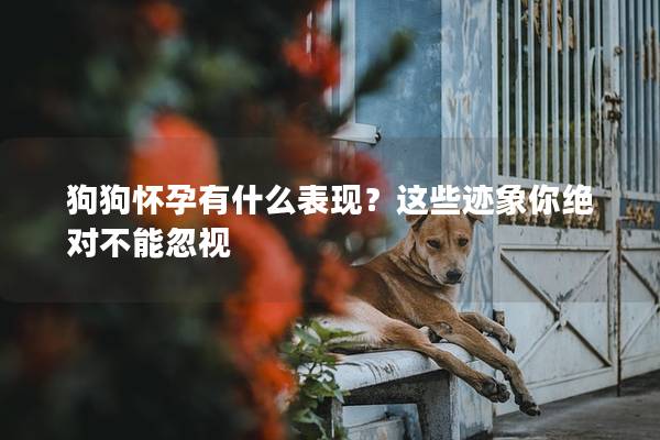 狗狗怀孕有什么表现？这些迹象你绝对不能忽视