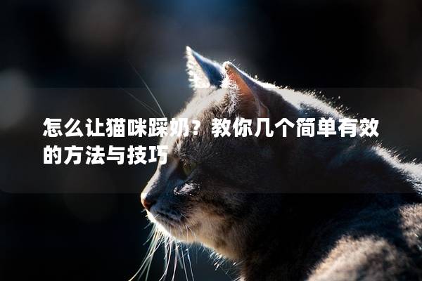 怎么让猫咪踩奶？教你几个简单有效的方法与技巧