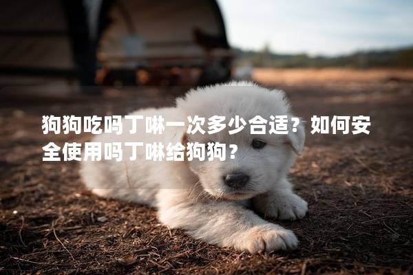 狗狗吃吗丁啉一次多少合适？如何安全使用吗丁啉给狗狗？
