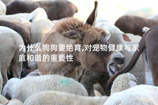 为什么狗狗要绝育,对宠物健康与家庭和谐的重要性