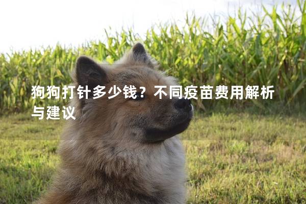 狗狗打针多少钱？不同疫苗费用解析与建议