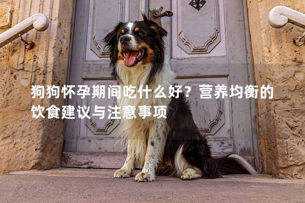狗狗怀孕期间吃什么好？营养均衡的饮食建议与注意事项
