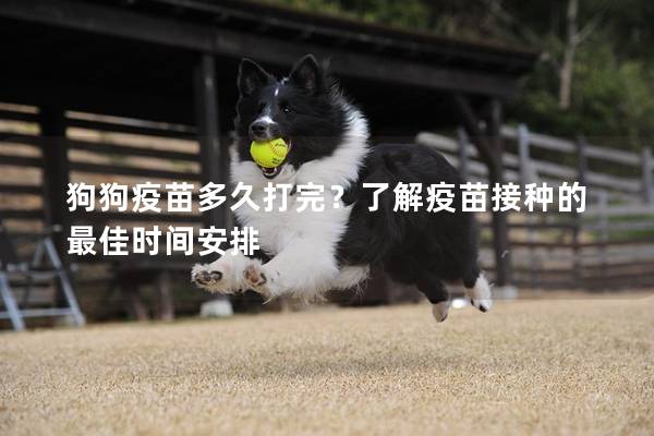 狗狗疫苗多久打完？了解疫苗接种的最佳时间安排