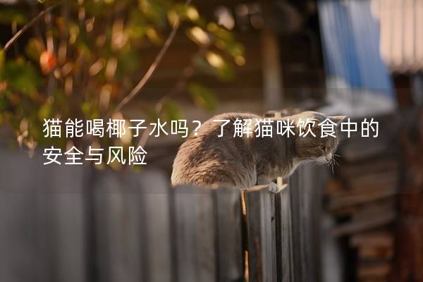 猫能喝椰子水吗？了解猫咪饮食中的安全与风险