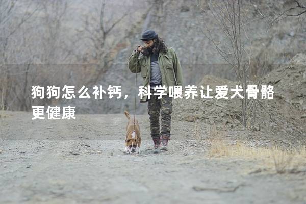 狗狗怎么补钙，科学喂养让爱犬骨骼更健康