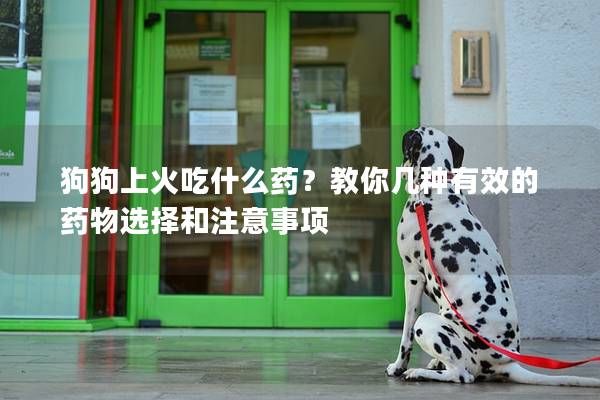狗狗上火吃什么药？教你几种有效的药物选择和注意事项