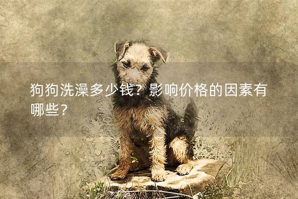 狗狗洗澡多少钱？影响价格的因素有哪些？