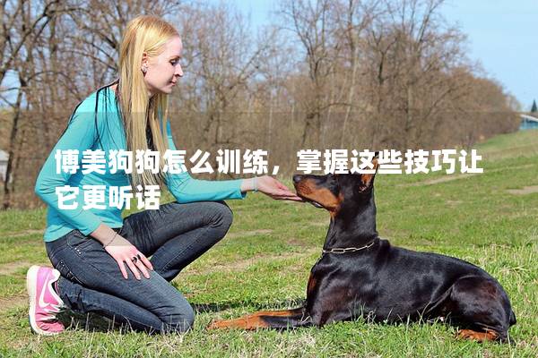 博美狗狗怎么训练，掌握这些技巧让它更听话