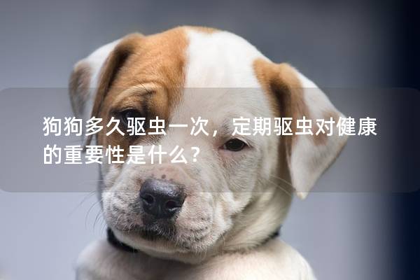 狗狗多久驱虫一次，定期驱虫对健康的重要性是什么？
