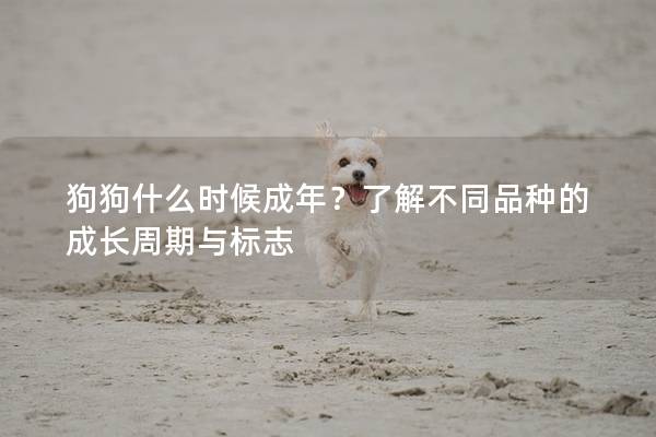 狗狗什么时候成年？了解不同品种的成长周期与标志