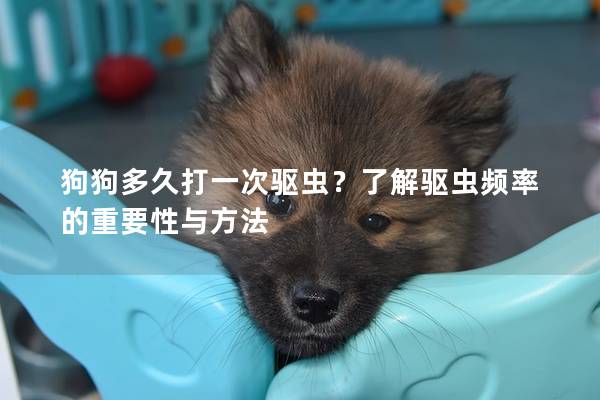 狗狗多久打一次驱虫?了解驱虫频率的重要性与方法 狗狗多久打一次驱虫?了解驱虫频率的重要性与方法