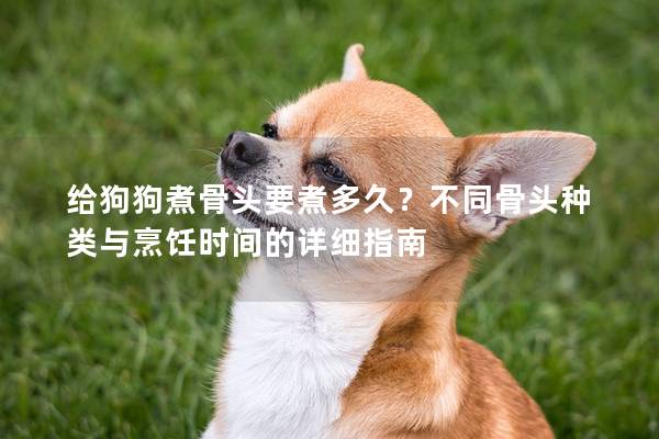 给狗狗煮骨头要煮多久？不同骨头种类与烹饪时间的详细指南