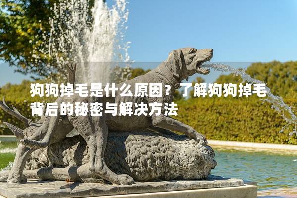 狗狗掉毛是什么原因？了解狗狗掉毛背后的秘密与解决方法