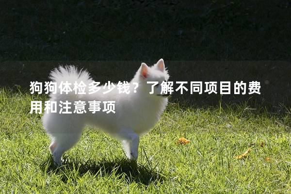 狗狗体检多少钱？了解不同项目的费用和注意事项