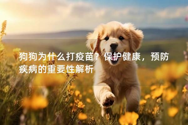 狗狗为什么打疫苗？保护健康，预防疾病的重要性解析