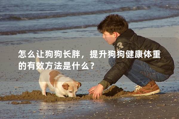 怎么让狗狗长胖，提升狗狗健康体重的有效方法是什么？