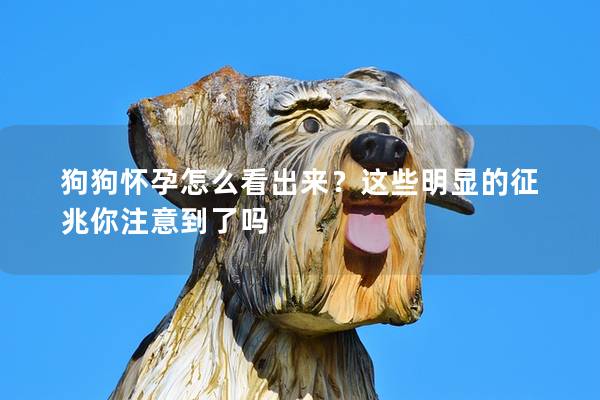 狗狗怀孕怎么看出来?这些明显的征兆你注意到了吗 狗狗怀孕怎么看出来?这些明显的征兆你注意到了吗