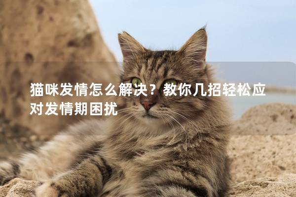 猫咪发情怎么解决？教你几招轻松应对发情期困扰