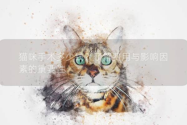 猫咪手术多少钱？了解费用与影响因素的重要性