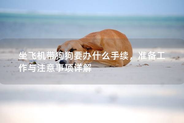 坐飞机带狗狗要办什么手续，准备工作与注意事项详解