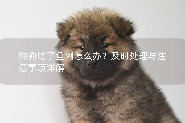 狗狗吃了鱼刺怎么办？及时处理与注意事项详解