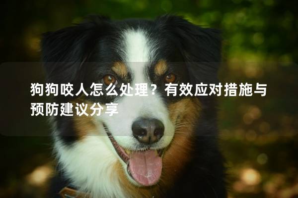 狗狗咬人怎么处理？有效应对措施与预防建议分享