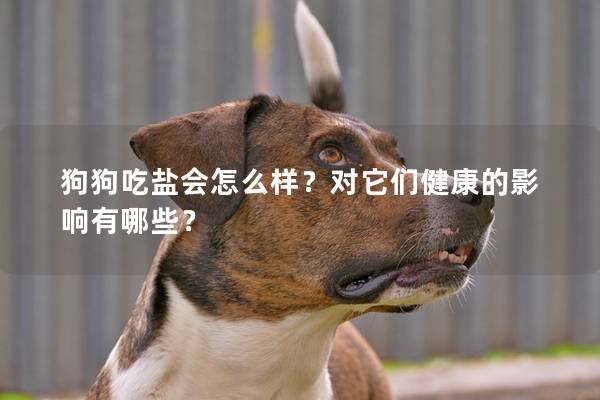 狗狗吃盐会怎么样？对它们健康的影响有哪些？