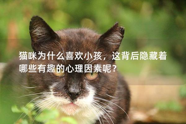 猫咪为什么喜欢小孩，这背后隐藏着哪些有趣的心理因素呢？