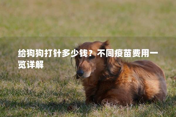 给狗狗打针多少钱？不同疫苗费用一览详解