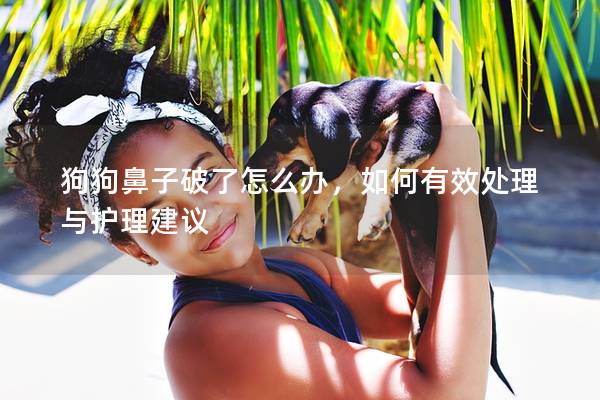 狗狗鼻子破了怎么办，如何有效处理与护理建议