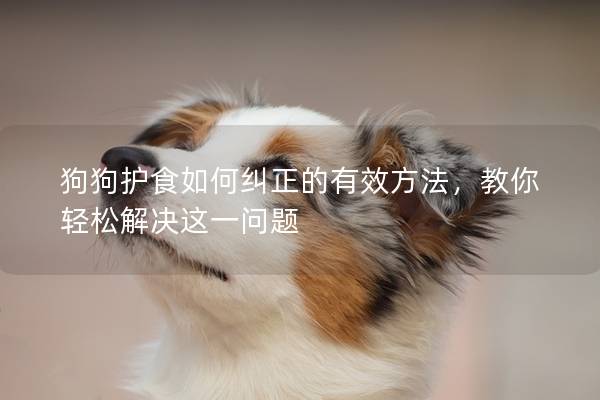 狗狗护食如何纠正的有效方法，教你轻松解决这一问题