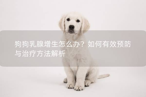 狗狗乳腺增生怎么办？如何有效预防与治疗方法解析
