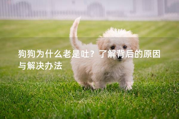 狗狗为什么老是吐？了解背后的原因与解决办法