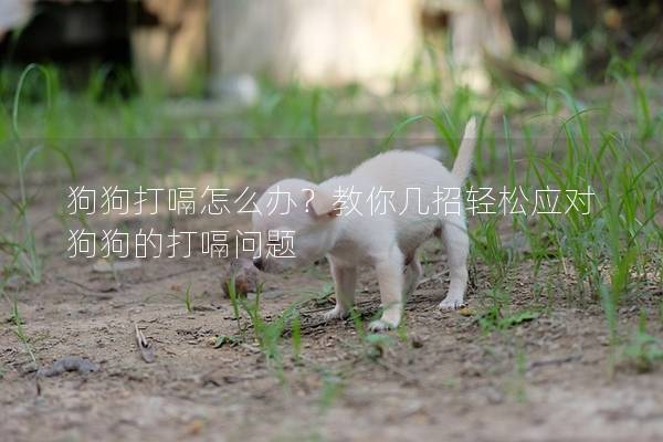 狗狗打嗝怎么办？教你几招轻松应对狗狗的打嗝问题