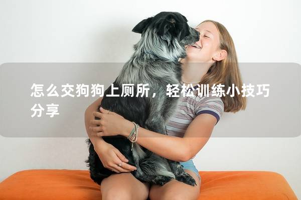 怎么交狗狗上厕所，轻松训练小技巧分享