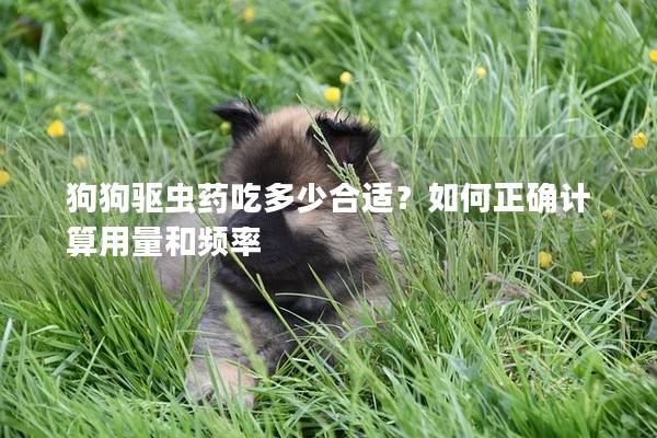 狗狗驱虫药吃多少合适？如何正确计算用量和频率