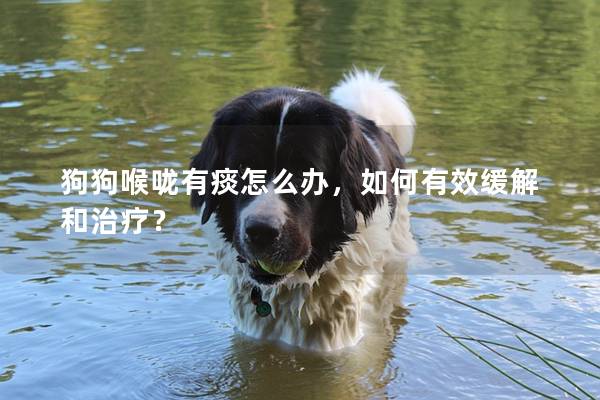 狗狗喉咙有痰怎么办，如何有效缓解和治疗？