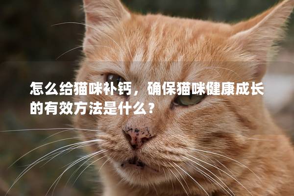 怎么给猫咪补钙，确保猫咪健康成长的有效方法是什么？