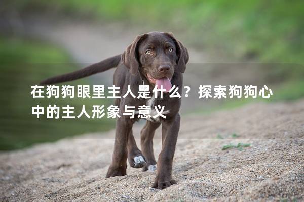 在狗狗眼里主人是什么？探索狗狗心中的主人形象与意义