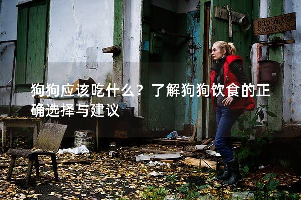 狗狗应该吃什么？了解狗狗饮食的正确选择与建议