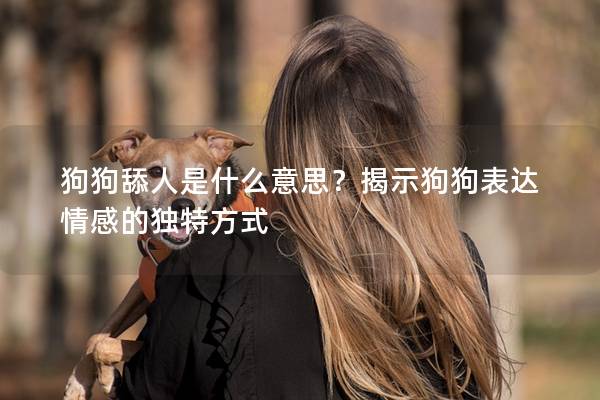 狗狗舔人是什么意思？揭示狗狗表达情感的独特方式