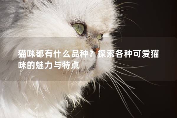 猫咪都有什么品种？探索各种可爱猫咪的魅力与特点