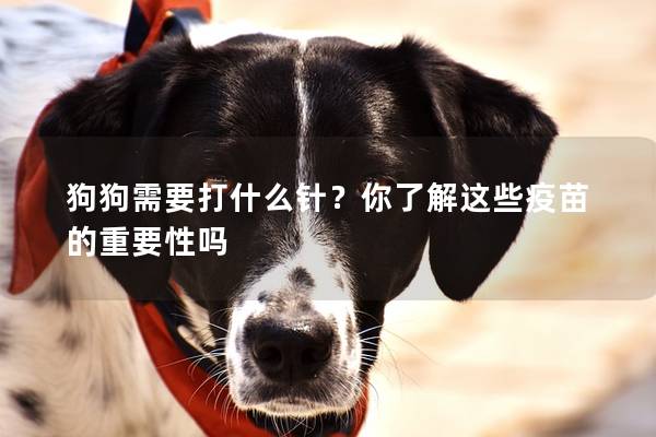 狗狗需要打什么针？你了解这些疫苗的重要性吗