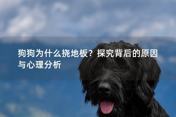狗狗为什么挠地板？探究背后的原因与心理分析