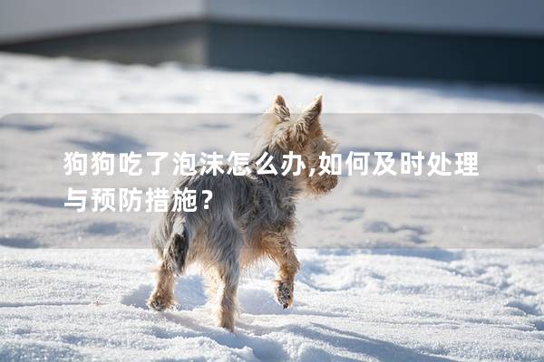 狗狗吃了泡沫怎么办,如何及时处理与预防措施？